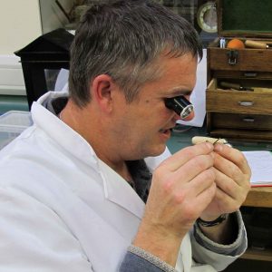 tim-hughes